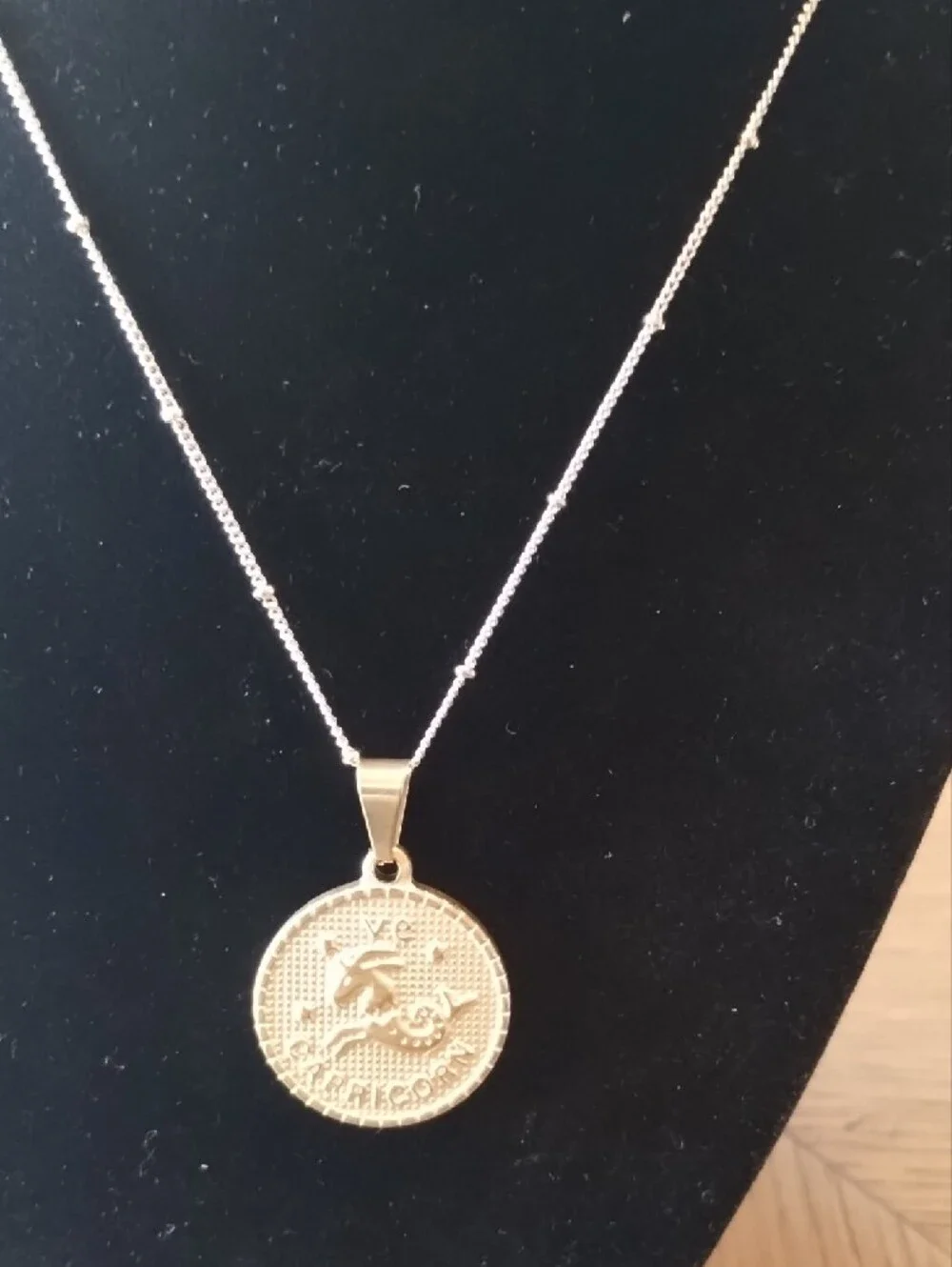 Gold Capricorn Pendant Necklace - Picture 5 of 16